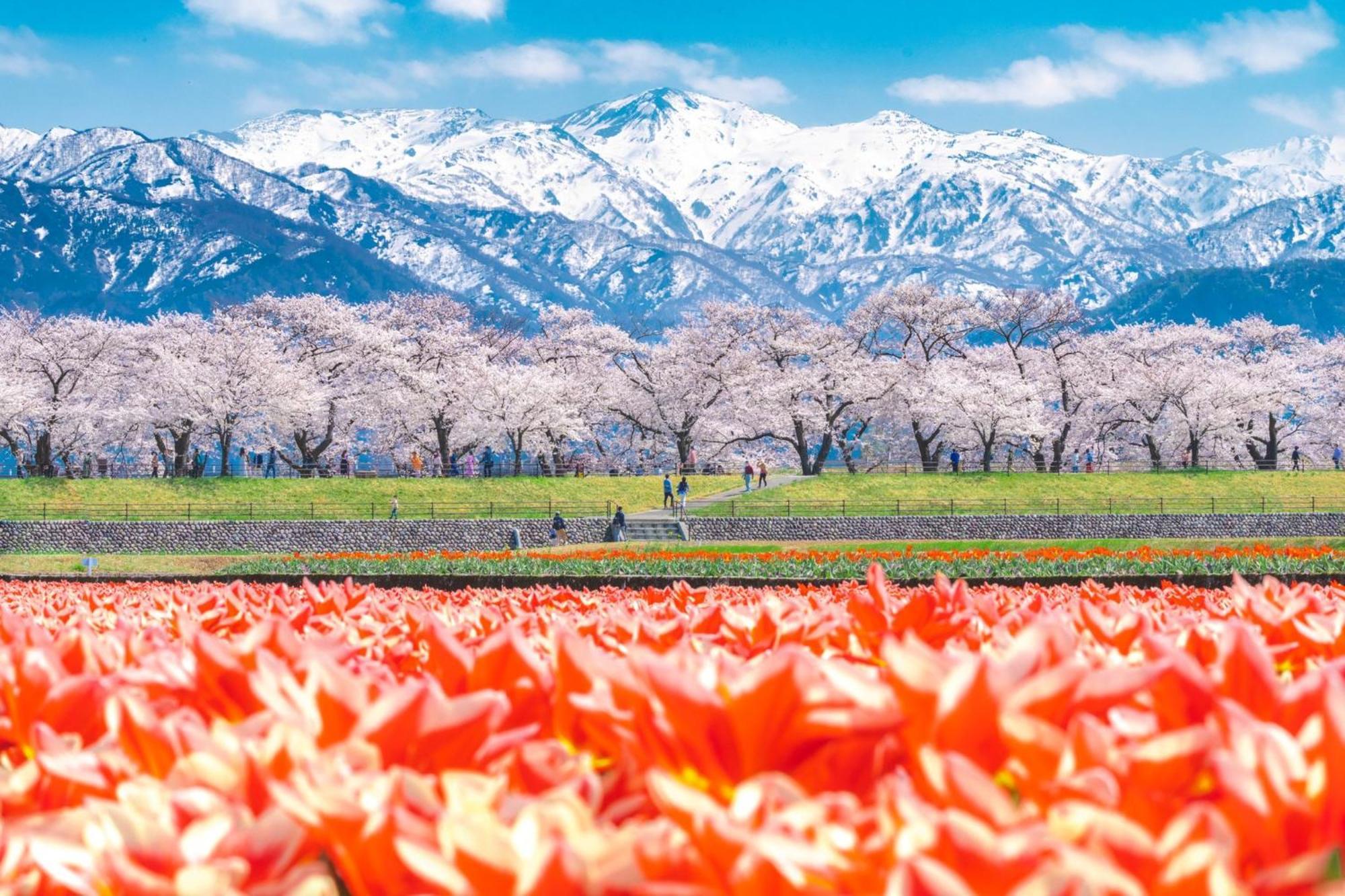 Отель Ana Crowne Plaza Toyama By Ihg Экстерьер фото